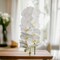 6-Pack: Massive White Phalaenopsis Orchid Stem, Floral Home by Artificial Flowers
